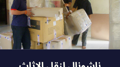 Photo of Movers Services in Sheikh Zayed