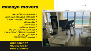 Furniture moving company in Sheikh Zayed