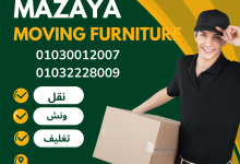 Photo of Furniture moving company in Gardenia City 01030012007