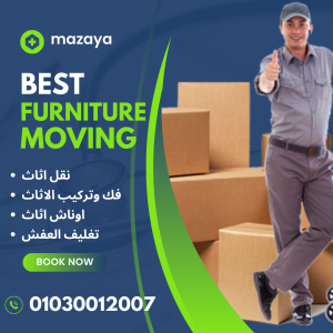 Moving Company IN Egypt