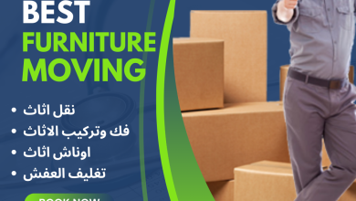 Photo of How to Choose a Moving Company IN Egypt