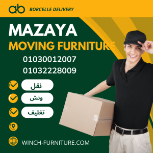 Professional Moving Company in Egypt